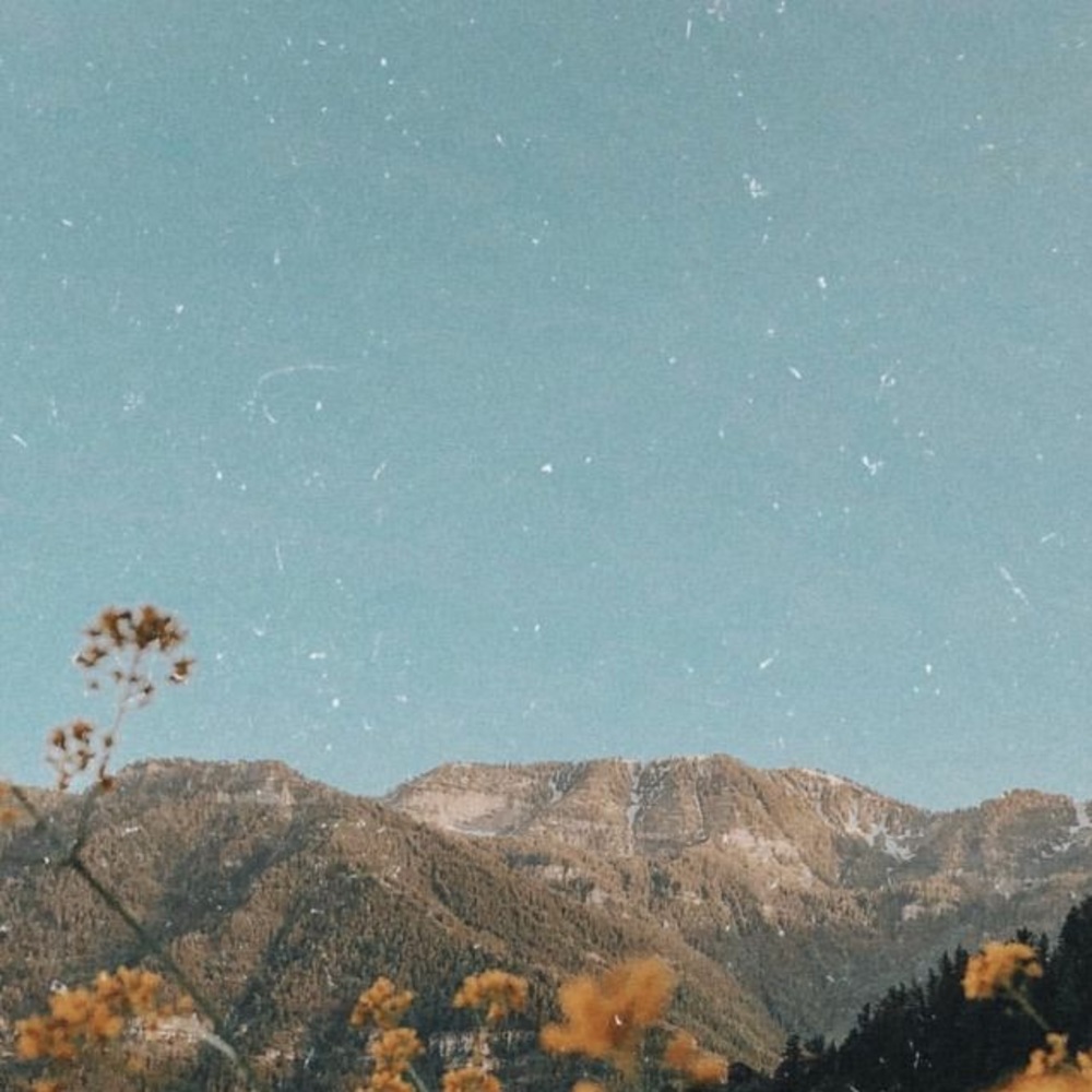 Meet your Posher, Katie.